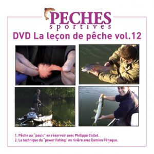 jaquette-dvd-ps-12