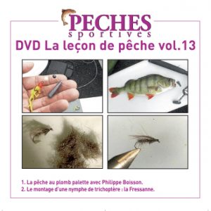 jaquette-dvd-ps-13