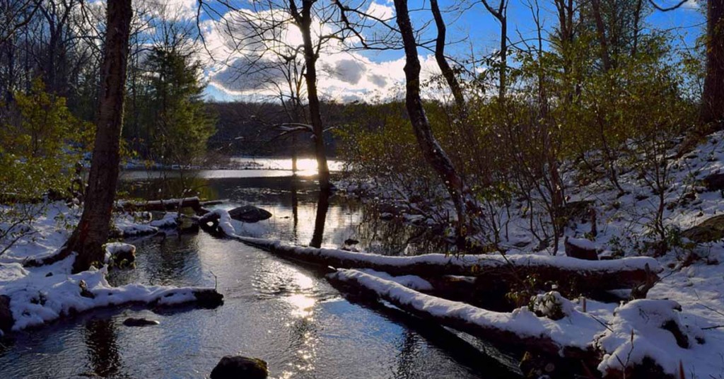 La pêche des carnassiers en hiver