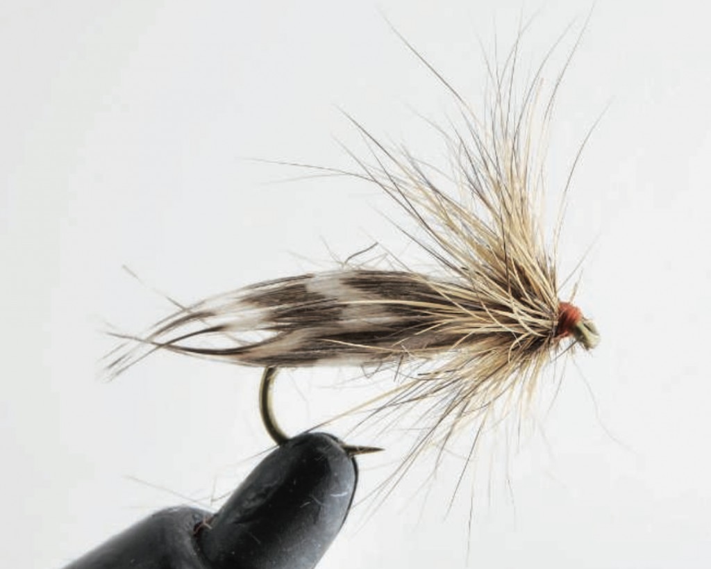 Sparkle Cadds Pupa Emerger : R/flytyng - Foto 5