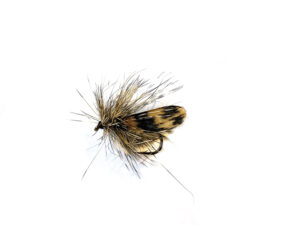 KIT Mouches Drag sedge Taille 12 