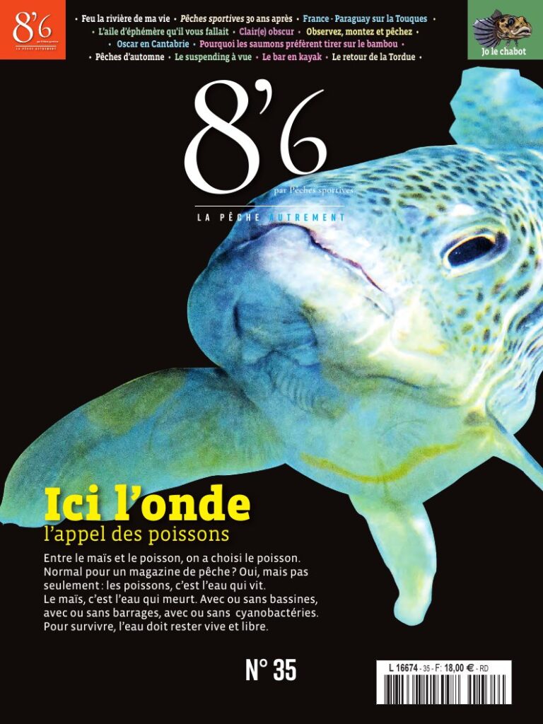 8’6 numérique n°35
