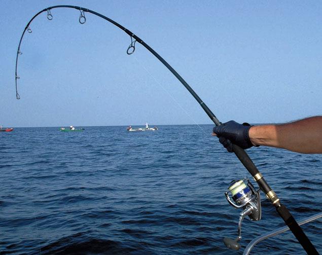 Quelle est la meilleure canne à pêche ?